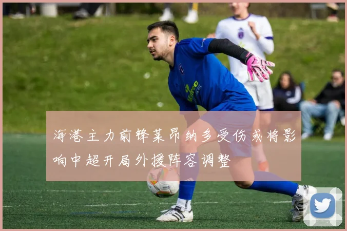 海港主力前锋莱昂纳多受伤或将影响中超开局外援阵容调整