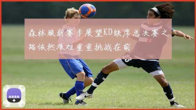 森林狼新赛季展望KD缺席总决赛之路依然艰难重重挑战在前